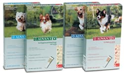 Advantix tegen vlooien en teken bij honden | mandapotheek.nl Advantix tegen vlooien en teken bij honden | mandapotheek.nl