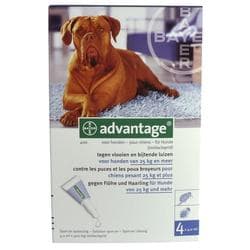 Advantage - Afbeelding 2